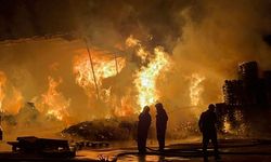 Palet fabrikası alevlere teslim oldu!