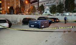 Genç kadını 10 yerinden bıçaklayıp, intihar etti