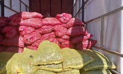 Kaçak avlanan 5,4 ton midye ele geçirildi!