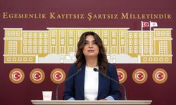 DEM Partili Koçyiğit: Komisyon derhal kurulmalı!
