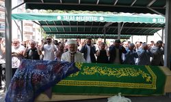 Kene bir can daha aldı!