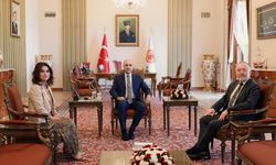DEM Parti'den TBMM Başkanına ziyaret