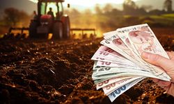Tarımsal girdi fiyat yüzde 33,66 oldu!
