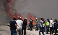 İzmir'de yangın otoyola ulaştı!