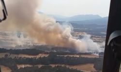 Bolu'da da yangın!