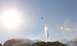 Hatay'daki yangına müdahale sürüyor