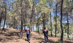 Jandarma'nın orman nöbeti
