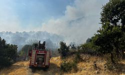 Diyarbakır Lice'deki yangın söndürüldü