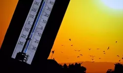 Son 55 yılın en sıcak dördüncü haziran ayı
