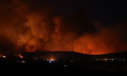 Korkulan oldu! Yangın ormana sıçradı