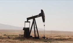 TPAO'nun Diyarbakır'daki petrol arama ruhsatı uzatıldı