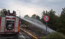 Dicle Üniversitesi'nde yangın
