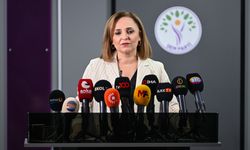 DEM Partili Doğan: Çok önemli bir kavşağa geldiğimizi düşünüyoruz