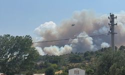 Çanakkale'de orman yangını başladı!