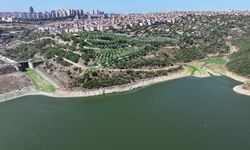 Su seviyesi yüzde 48,3'e düştü!