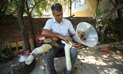 Depremde yaralanan köpek tedavi edildi!