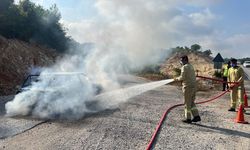 Yanan araçları orman ekipleri söndürdü