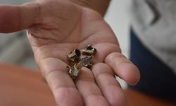 Evrensel gazete binasına silahlı saldırı kamerada