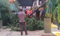 Fırtına öyle bir vurdu ki! 3 yaralı