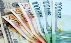 Döviz kurunda son durum