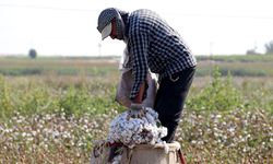 Diyarbakır’da Çiftçiye Rekabet Darbesi! Bismil ilçesinde 30 fabrika tek fiyat üzerinde anlaştı!