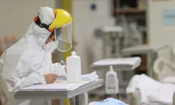 Kuzey Yarımküre'de "H3N2" alarmı