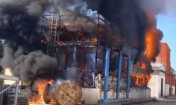 Fabrika cayır cayır yandı!