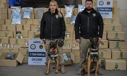 Limanda 1 ton 508 kilo uyuşturucu ele geçirildi!