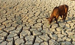 Tahran dahil 20 eyalet ciddi su kriziyle karşı karşıya!