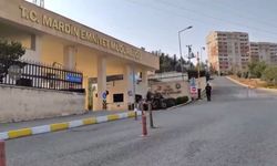 Mardin'de ceza yağdı