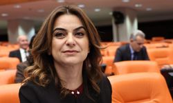 DEM Partili Koçyiğit: Öcalan, YPG kendisini lağvedecek demedi