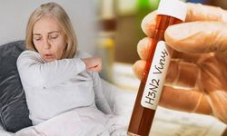 DSÖ, H3N2 virüsündeki artış konusunda uyardı!