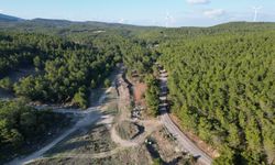 11 ilde bazı alanlar orman sınırları dışına çıkarıldı!