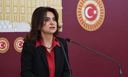 DEM Partili Koçyiğit: Silahların susması bir sonuç değil başlangıçtır!