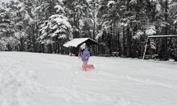 Tarih belli oldu; 18 şehirde lapa lapa kar yağacak!