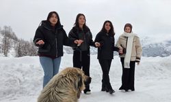 40 gün sürecek zemheri soğuklar başlıyor