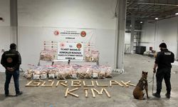 Gümrük Muhafaza 394 kilo metamfetamin ele geçirdi!