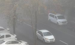 Diyarbakır'da uçak seferlerine sis engeli