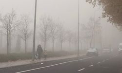 Diyarbakır'da sis hakim