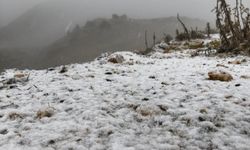 Yurdun çeşitli illerinde kar yağışı etkili oluyor