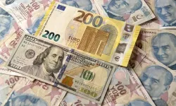 Dolar ve euroda son durum