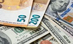 Dolar ve euroda son durum