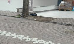 Kargo poşetinin içinden 60 bin dolar çıktı