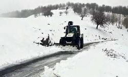 Muş'ta kar ve tipi yolları kapattı