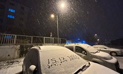 Van beyaz örtüyle kaplandı