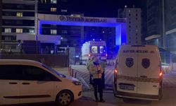 Kardeşini öldürdü, annesini yaraldı, intihar etti!