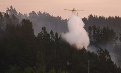 Şili'deki orman yangınlarında 18 kişi öldü
