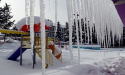 Doğu illerinde hayat dondu!