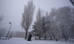 5 ilde soğuk hava ve sis etkili oluyor