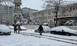 Diyarbakır'da uçak seferleri iptal edildi